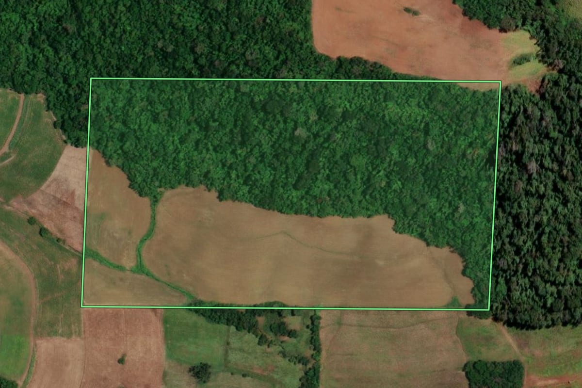 Imagem de satélite do imóvel rural em Campina das Missões (RS), com o contorno declarado no CAR desenhado por cima.