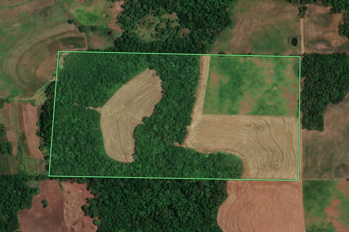 Imagem de satélite do imóvel rural em Campina das Missões (RS), com o contorno declarado no CAR desenhado por cima.