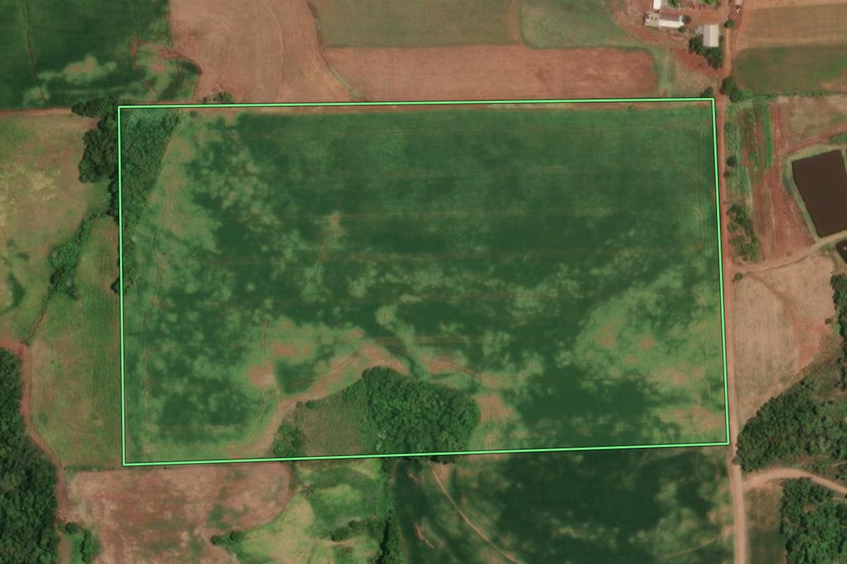 Imagem de satélite do imóvel rural em Campina das Missões (RS), com o contorno declarado no CAR desenhado por cima.