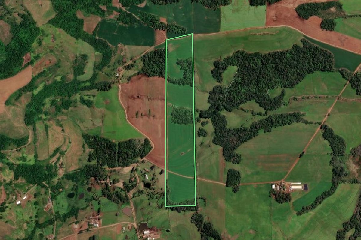 Imagem de satélite do imóvel rural em Campina das Missões (RS), com o contorno declarado no CAR desenhado por cima.