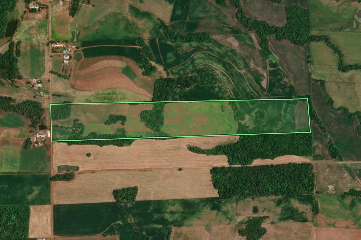 Imagem de satélite do imóvel rural em Campina das Missões (RS), com o contorno declarado no CAR desenhado por cima.