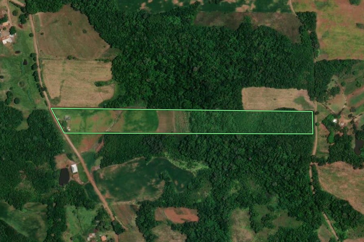 Imagem de satélite do imóvel rural em Campina das Missões (RS), com o contorno declarado no CAR desenhado por cima.