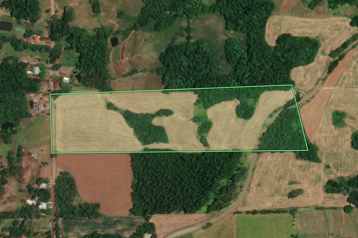 Imagem de satélite do imóvel rural em Campina das Missões (RS), com o contorno declarado no CAR desenhado por cima.