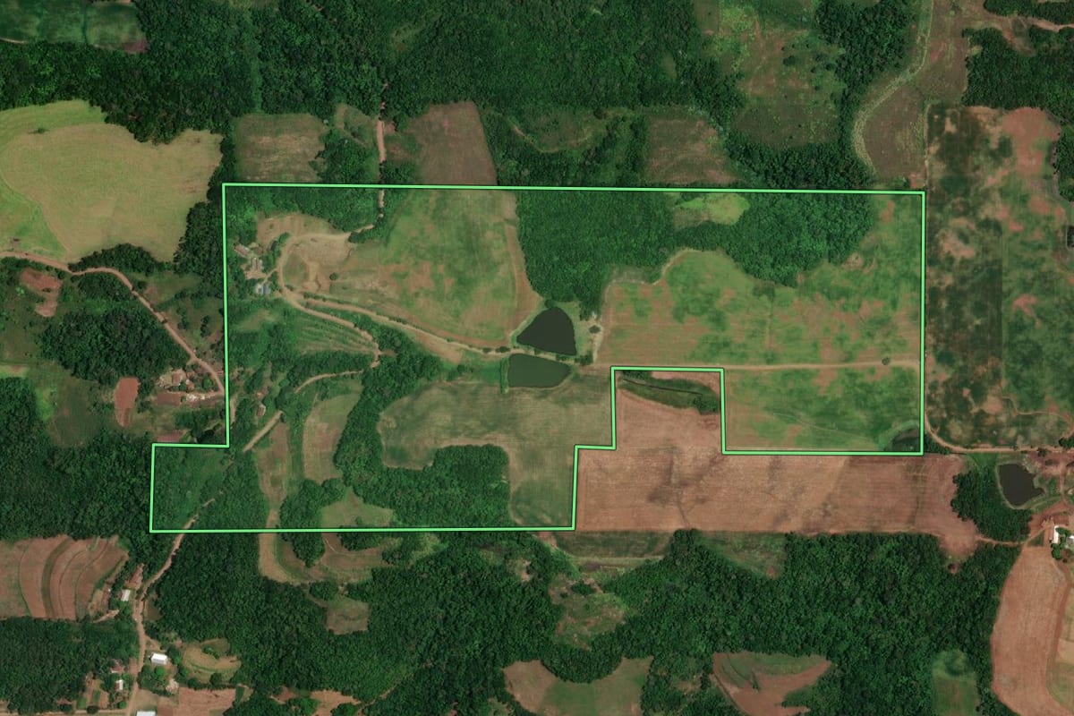 Imagem de satélite do imóvel rural em Campina das Missões (RS), com o contorno declarado no CAR desenhado por cima.