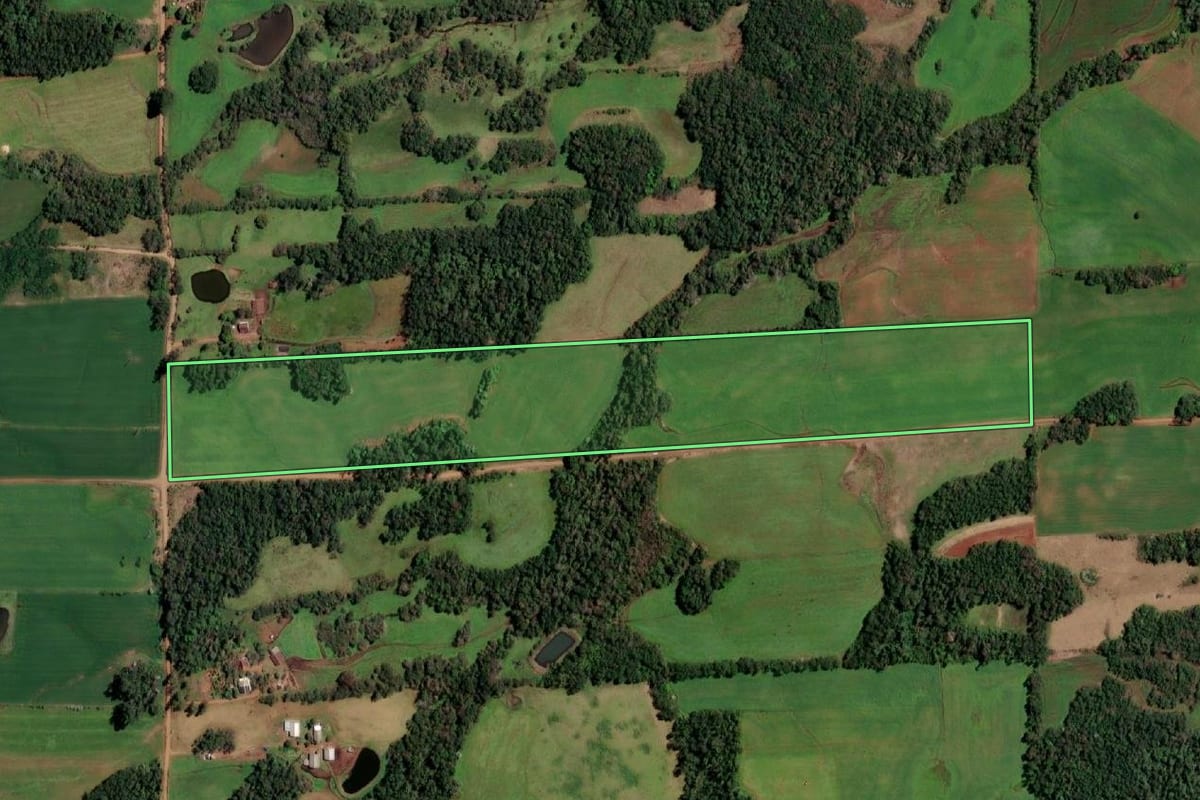 Imagem de satélite do imóvel rural em Campina das Missões (RS), com o contorno declarado no CAR desenhado por cima.
