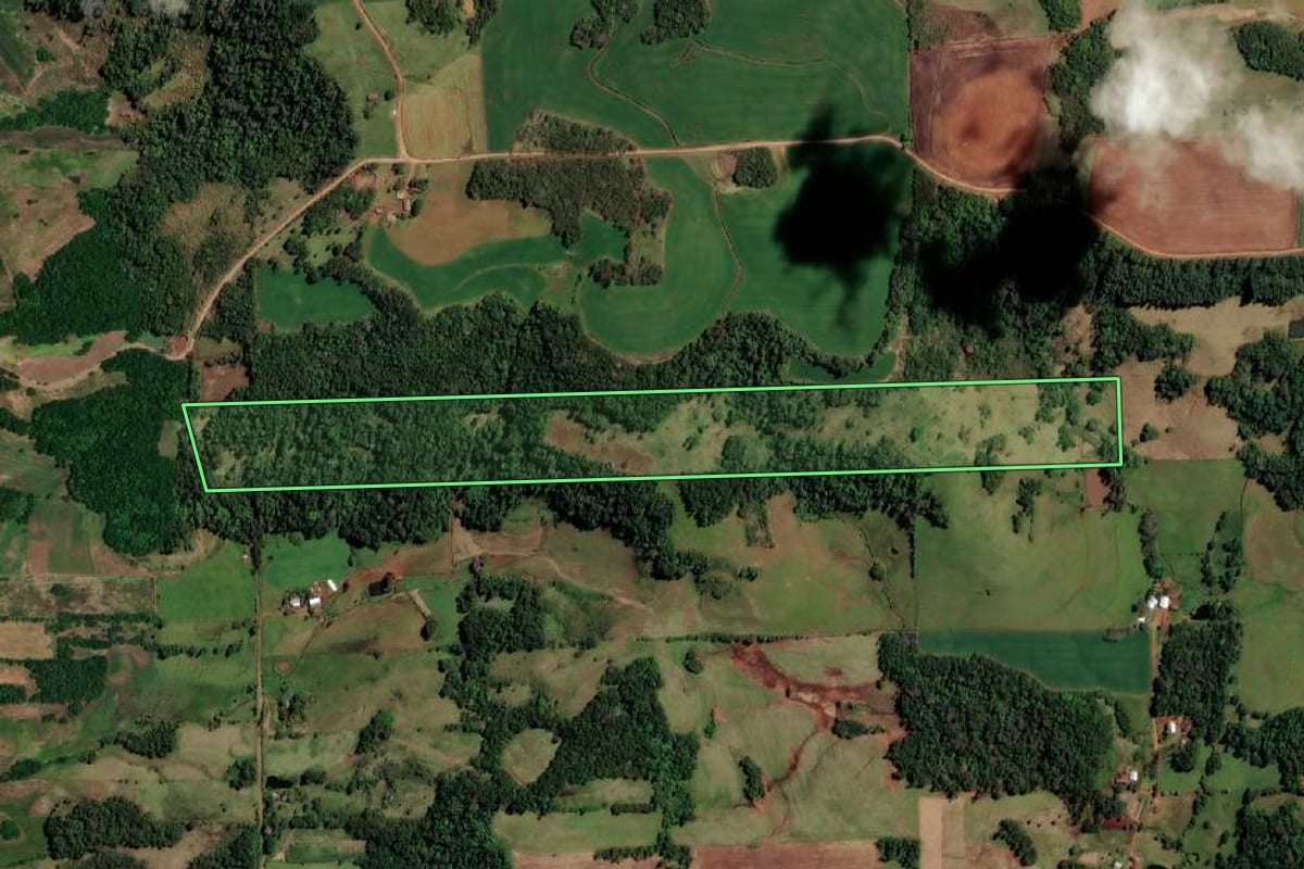 Imagem de satélite do imóvel rural em Campina das Missões (RS), com o contorno declarado no CAR desenhado por cima.