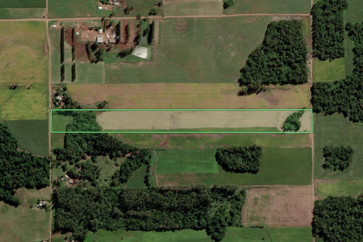 Imagem de satélite do imóvel rural em Campina das Missões (RS), com o contorno declarado no CAR desenhado por cima.