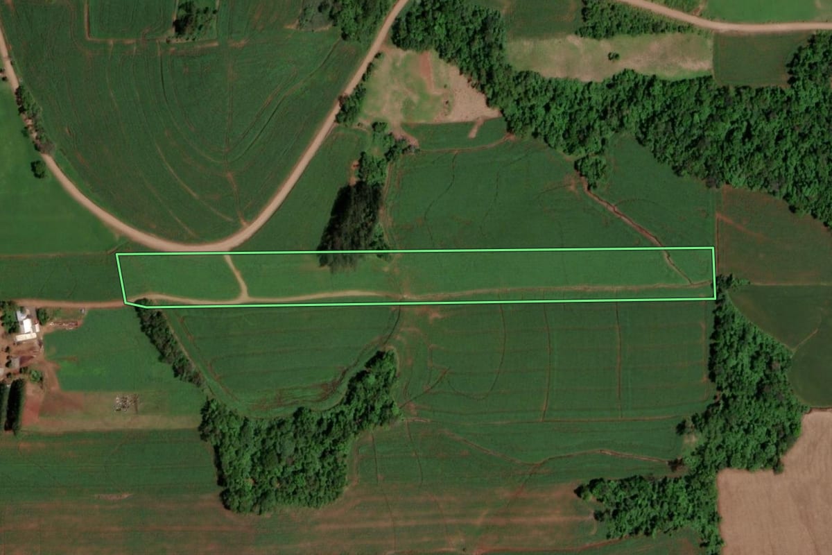 Imagem de satélite do imóvel rural em Campina das Missões (RS), com o contorno declarado no CAR desenhado por cima.