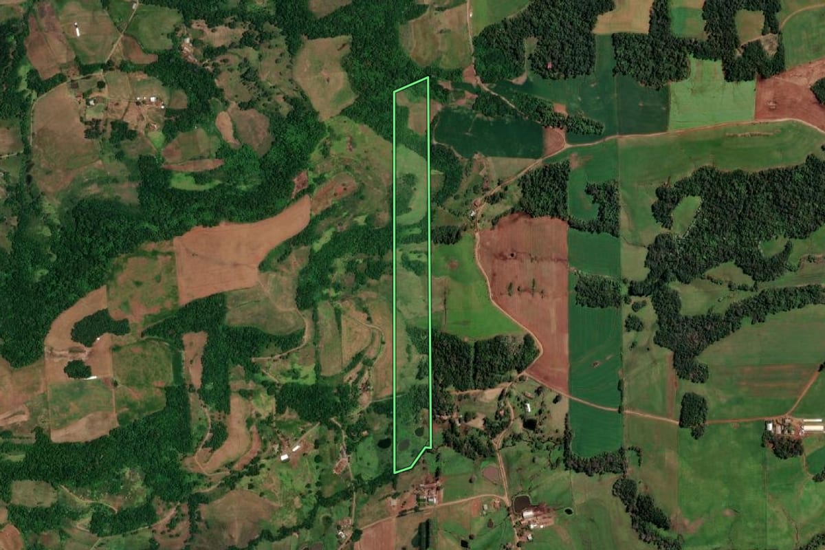 Imagem de satélite do imóvel rural em Campina das Missões (RS), com o contorno declarado no CAR desenhado por cima.