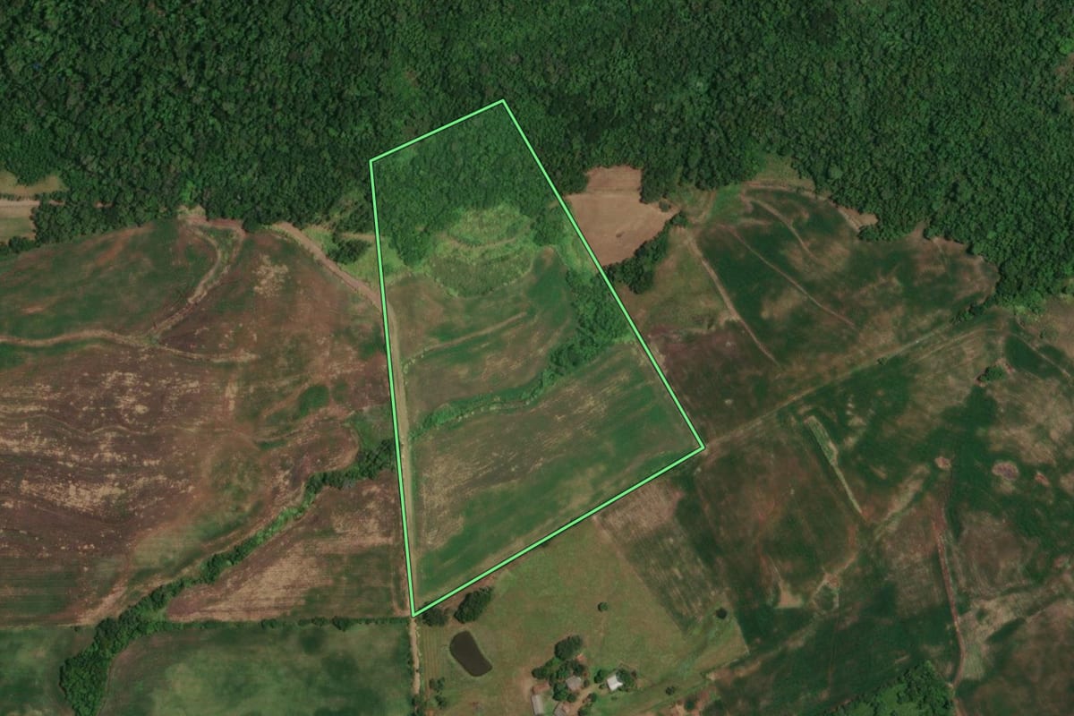 Imagem de satélite do imóvel rural em Campina das Missões (RS), com o contorno declarado no CAR desenhado por cima.