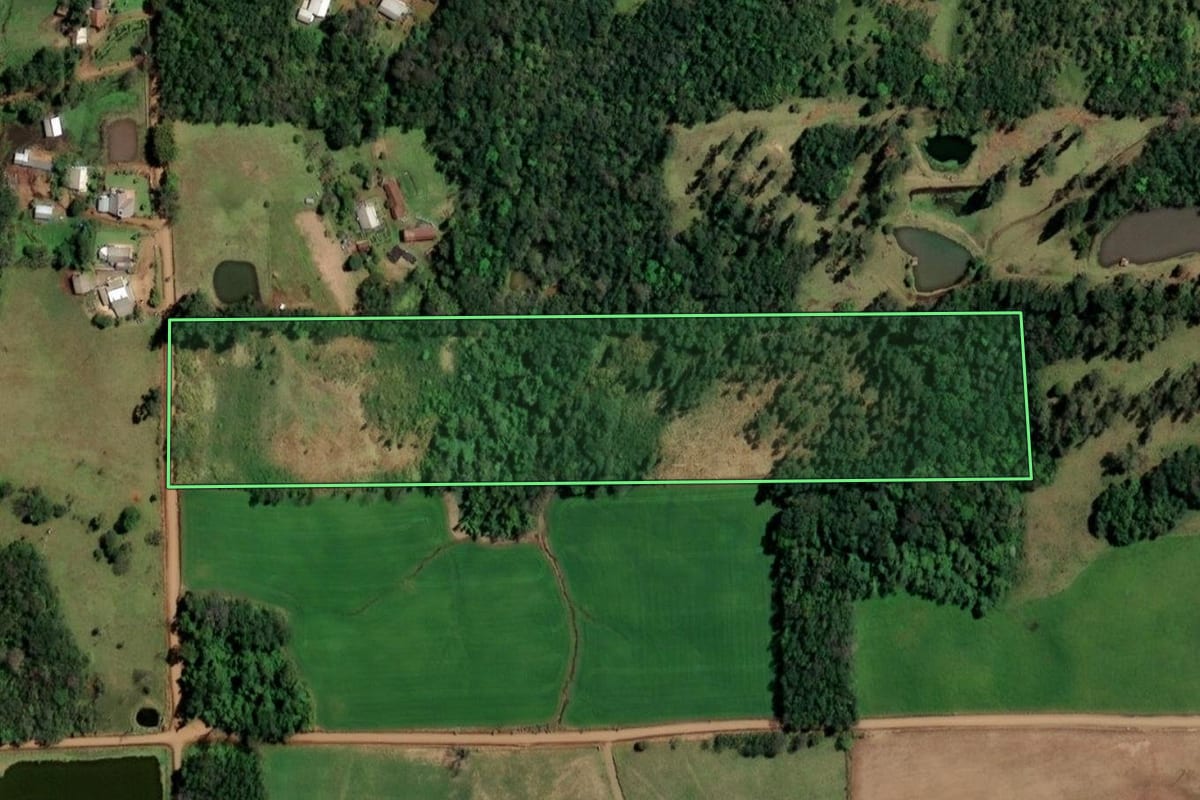 Imagem de satélite do imóvel rural em Campina das Missões (RS), com o contorno declarado no CAR desenhado por cima.
