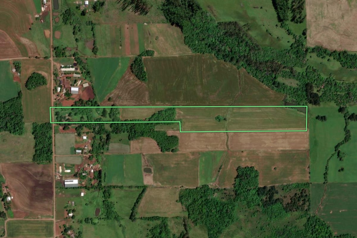 Imagem de satélite do imóvel rural em Campina das Missões (RS), com o contorno declarado no CAR desenhado por cima.