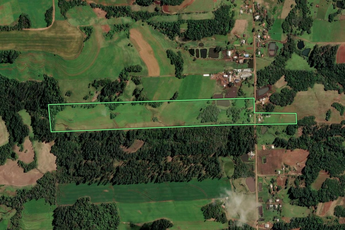 Imagem de satélite do imóvel rural em Campina das Missões (RS), com o contorno declarado no CAR desenhado por cima.