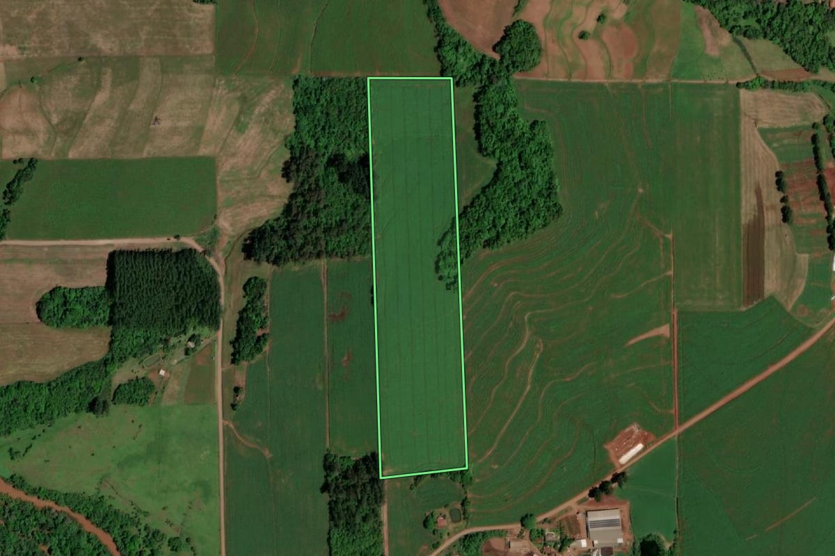 Imagem de satélite do imóvel rural em Campina das Missões (RS), com o contorno declarado no CAR desenhado por cima.