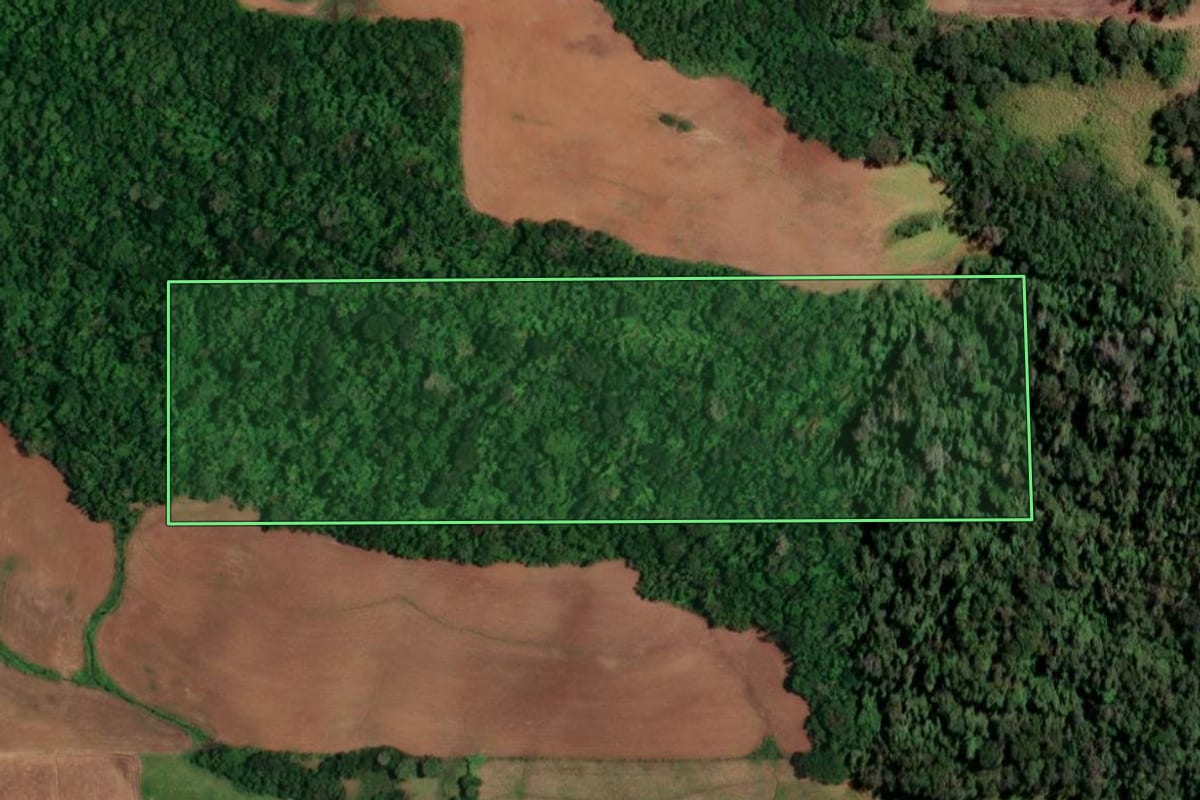 Imagem de satélite do imóvel rural em Campina das Missões (RS), com o contorno declarado no CAR desenhado por cima.