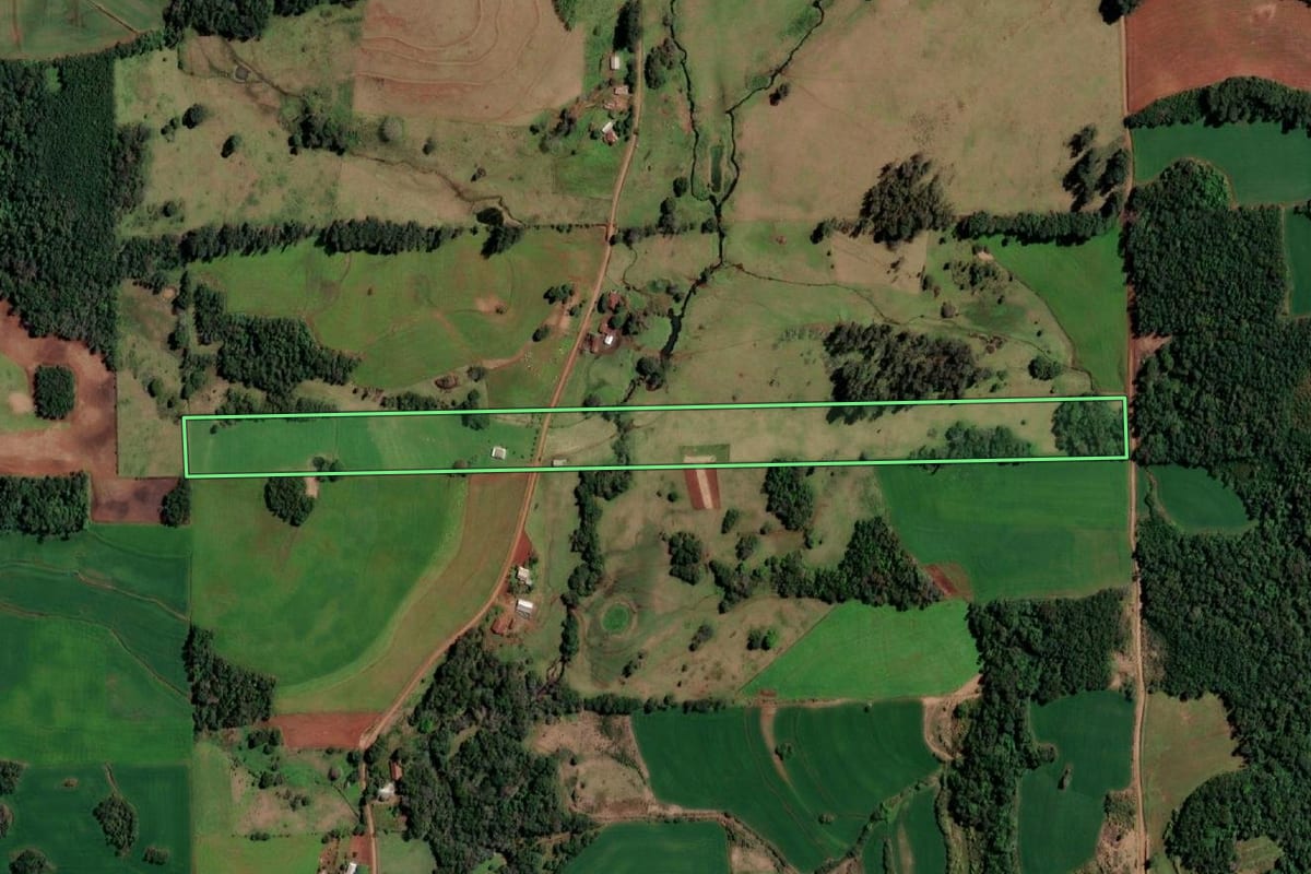 Imagem de satélite do imóvel rural em Campina das Missões (RS), com o contorno declarado no CAR desenhado por cima.