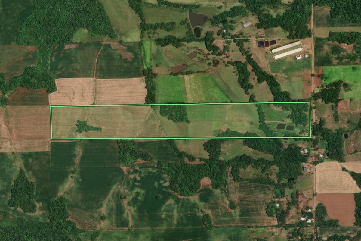 Imagem de satélite do imóvel rural em Campina das Missões (RS), com o contorno declarado no CAR desenhado por cima.