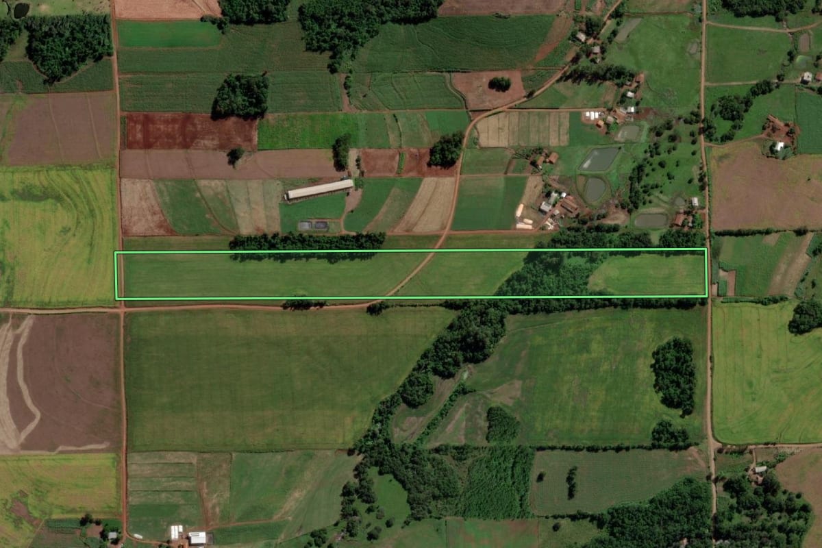 Imagem de satélite do imóvel rural em Campina das Missões (RS), com o contorno declarado no CAR desenhado por cima.