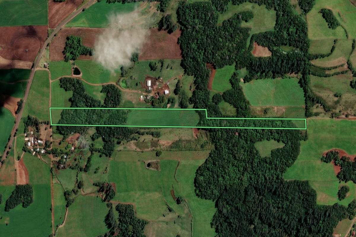 Imagem de satélite do imóvel rural em Campina das Missões (RS), com o contorno declarado no CAR desenhado por cima.