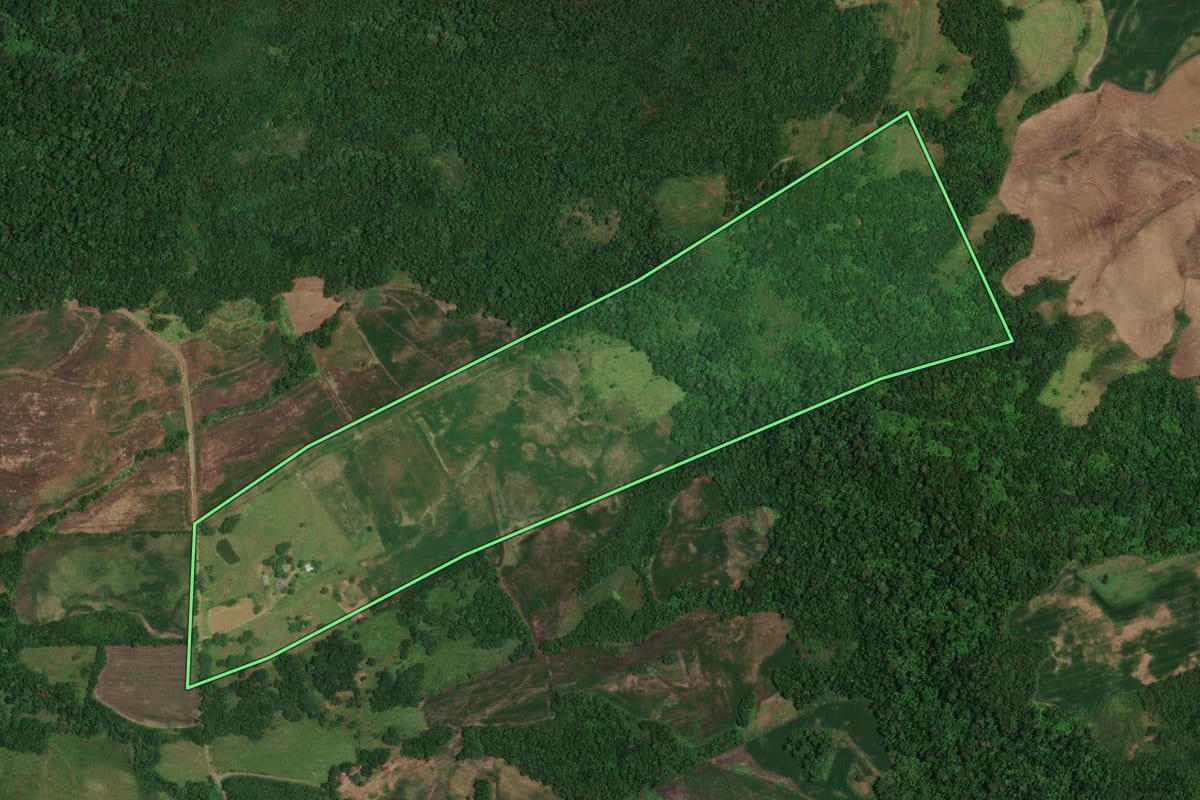 Imagem de satélite do imóvel rural em Campina das Missões (RS), com o contorno declarado no CAR desenhado por cima.