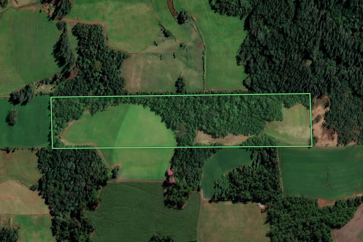Imagem de satélite do imóvel rural em Campina das Missões (RS), com o contorno declarado no CAR desenhado por cima.