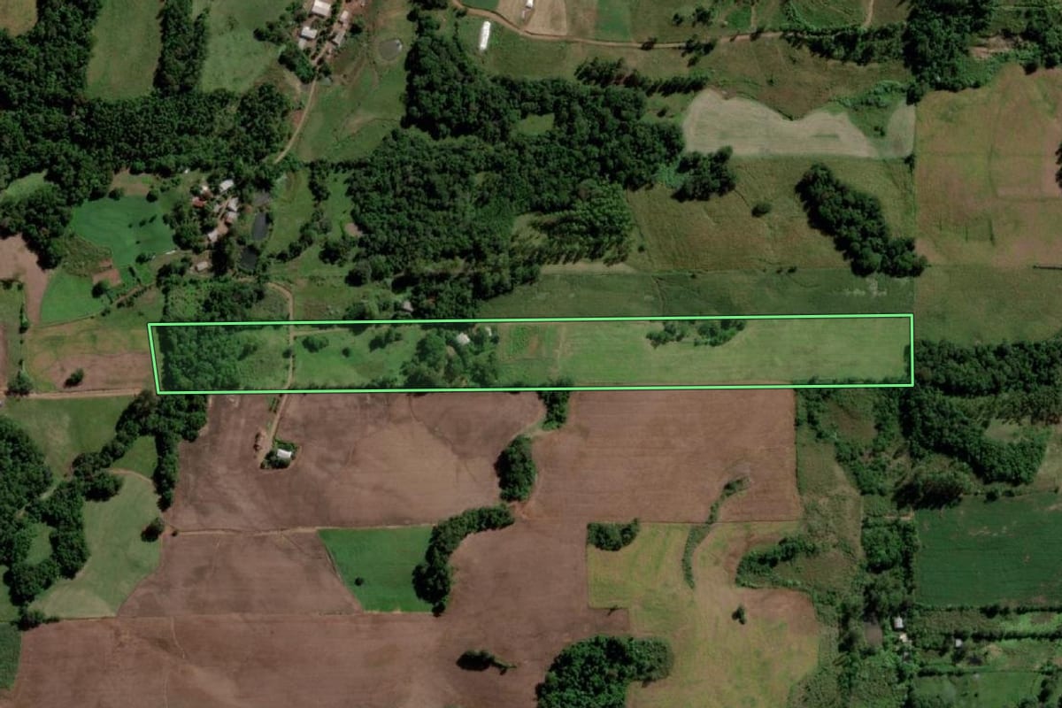 Imagem de satélite do imóvel rural em Campina das Missões (RS), com o contorno declarado no CAR desenhado por cima.