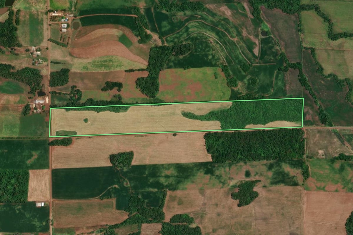 Imagem de satélite do imóvel rural em Campina das Missões (RS), com o contorno declarado no CAR desenhado por cima.