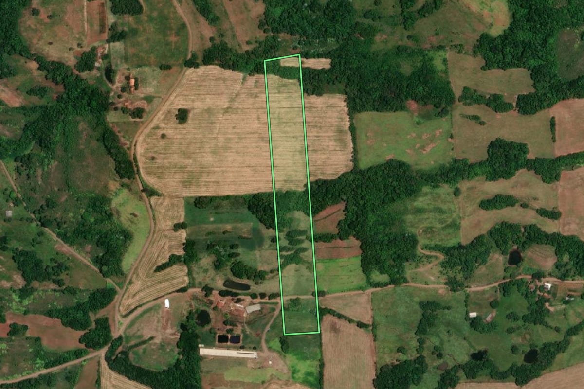 Imagem de satélite do imóvel rural em Campina das Missões (RS), com o contorno declarado no CAR desenhado por cima.