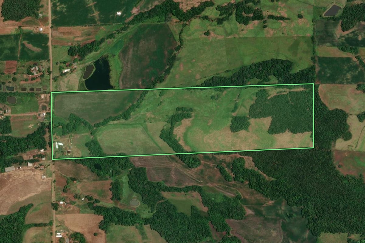 Imagem de satélite do imóvel rural em Campina das Missões (RS), com o contorno declarado no CAR desenhado por cima.