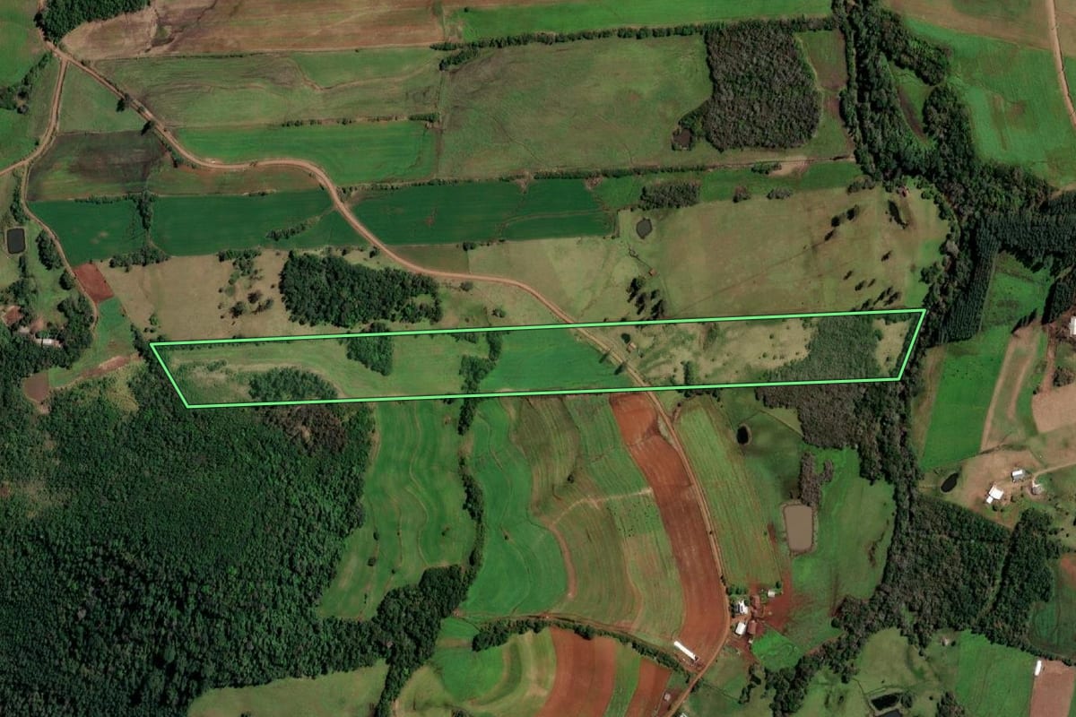 Imagem de satélite do imóvel rural em Campina das Missões (RS), com o contorno declarado no CAR desenhado por cima.