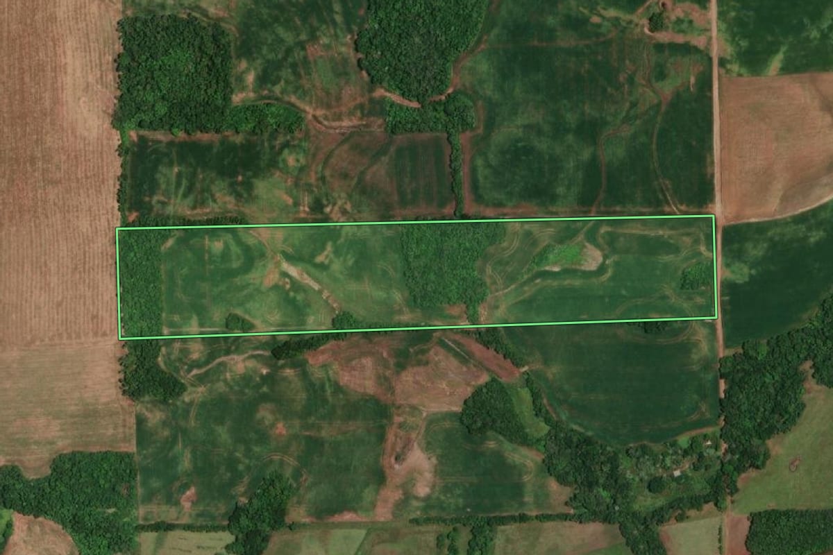 Imagem de satélite do imóvel rural em Campina das Missões (RS), com o contorno declarado no CAR desenhado por cima.