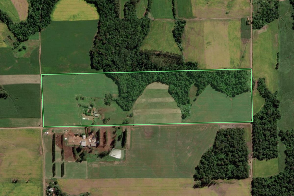 Imagem de satélite do imóvel rural em Campina das Missões (RS), com o contorno declarado no CAR desenhado por cima.