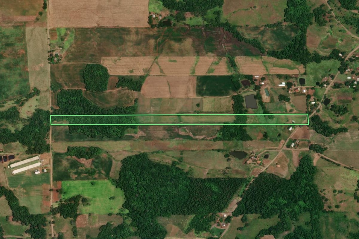 Imagem de satélite do imóvel rural em Campina das Missões (RS), com o contorno declarado no CAR desenhado por cima.