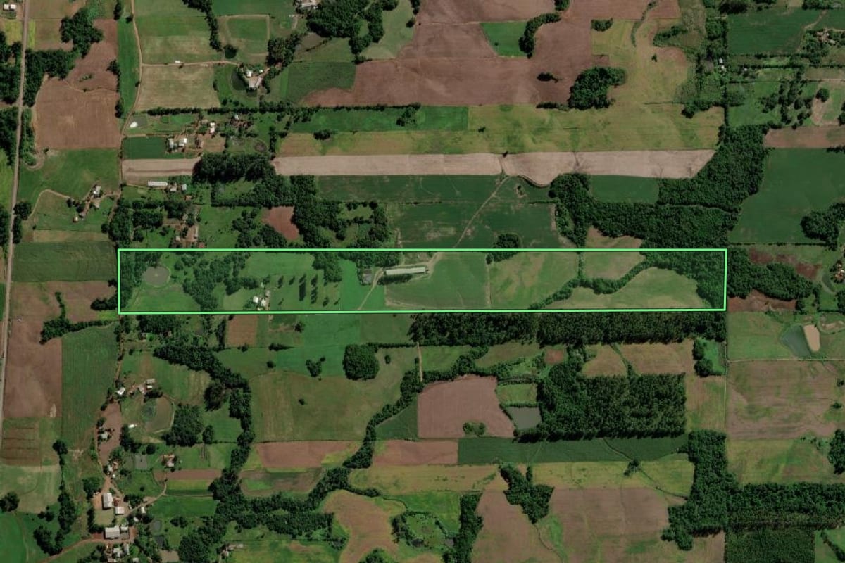 Imagem de satélite do imóvel rural em Campina das Missões (RS), com o contorno declarado no CAR desenhado por cima.