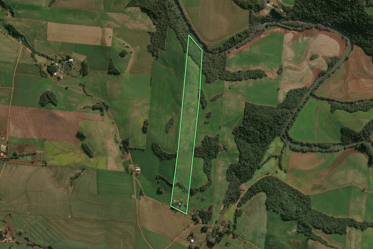 Imagem de satélite do imóvel rural em Campinas do Sul (RS), com o contorno declarado no CAR desenhado por cima.