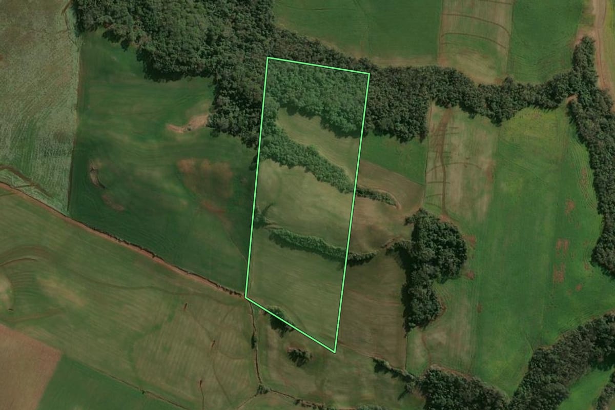 Imagem de satélite do imóvel rural em Campinas do Sul (RS), com o contorno declarado no CAR desenhado por cima.