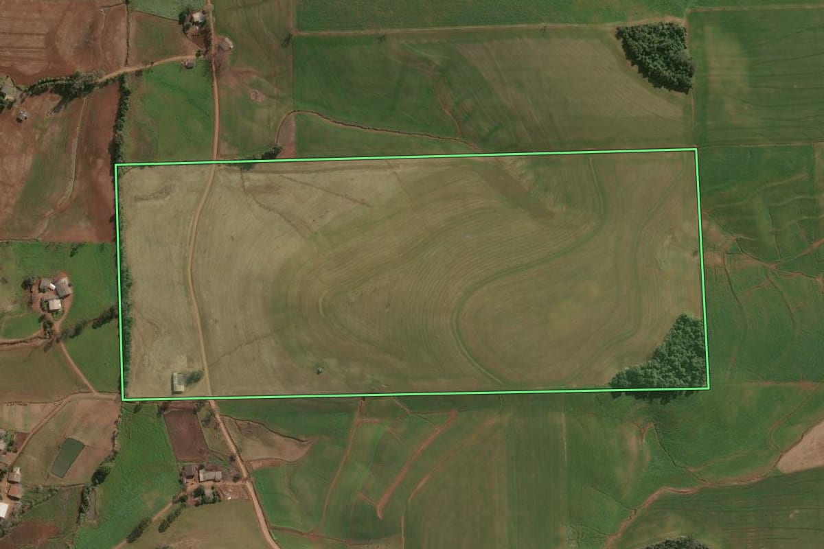 Imagem de satélite do imóvel rural em Campinas do Sul (RS), com o contorno declarado no CAR desenhado por cima.
