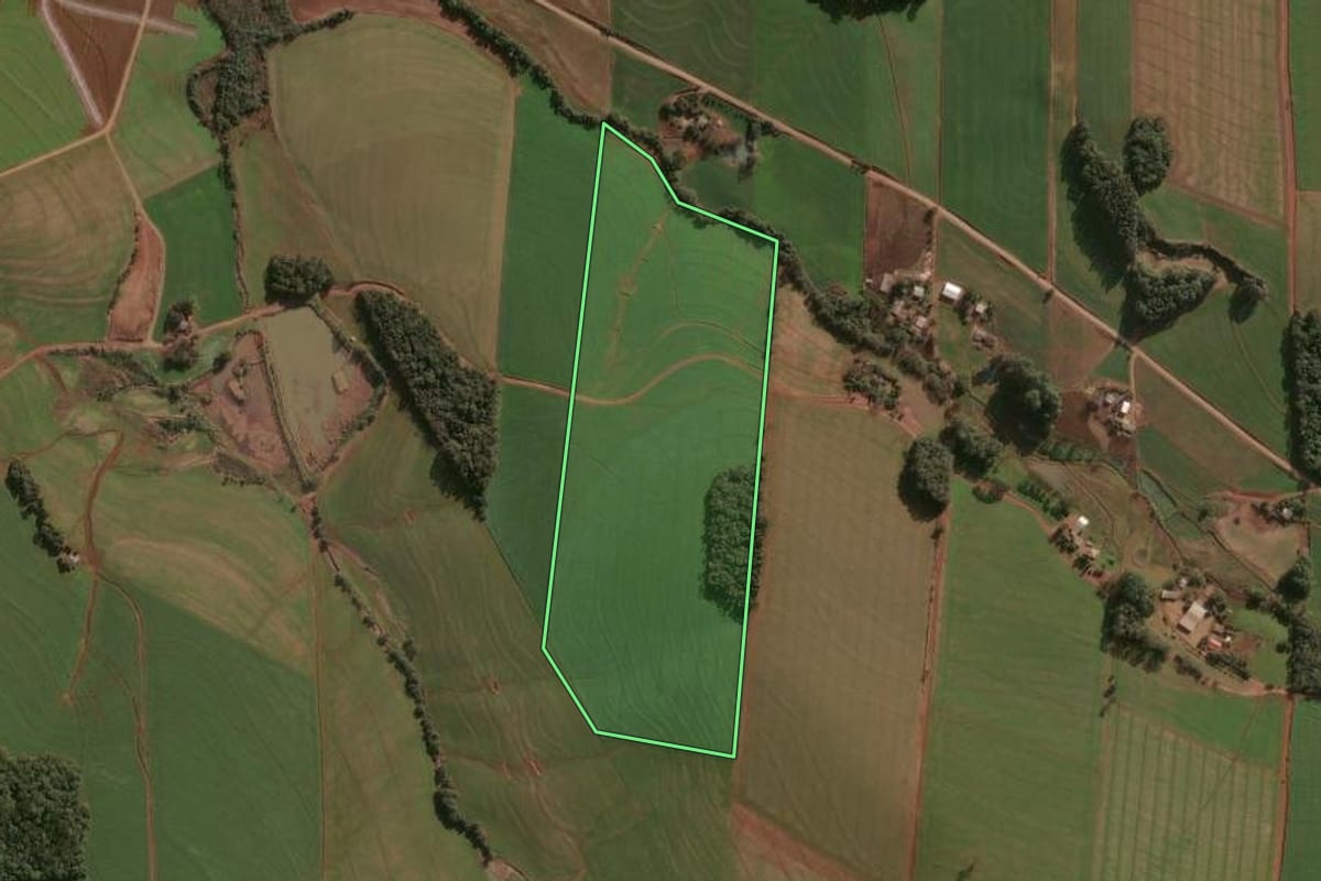 Imagem de satélite do imóvel rural em Campinas do Sul (RS), com o contorno declarado no CAR desenhado por cima.