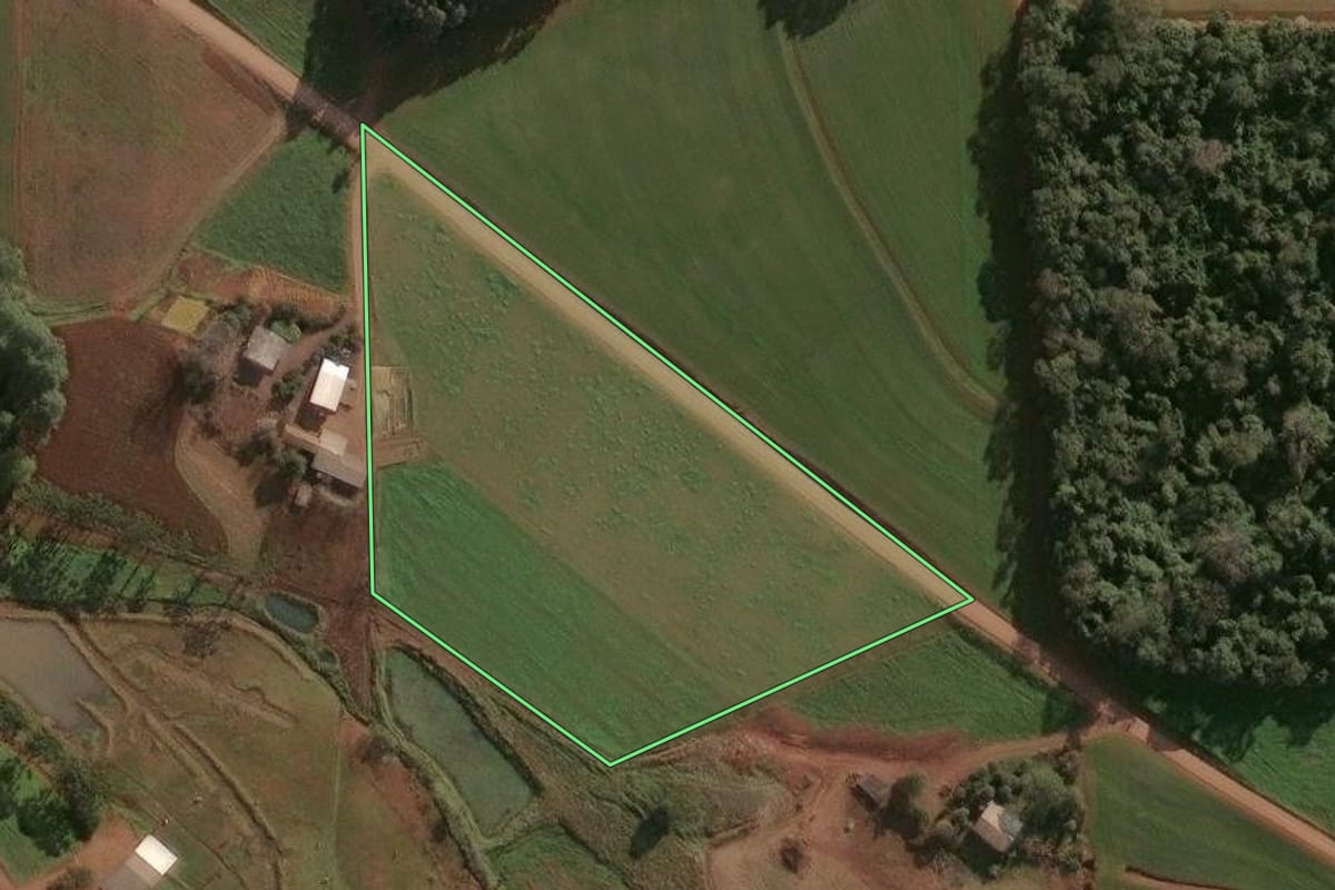 Imagem de satélite do imóvel rural em Campinas do Sul (RS), com o contorno declarado no CAR desenhado por cima.