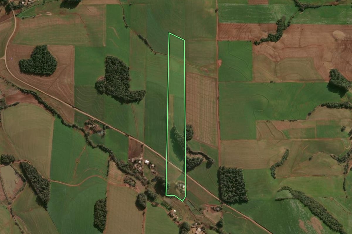 Imagem de satélite do imóvel rural em Campinas do Sul (RS), com o contorno declarado no CAR desenhado por cima.
