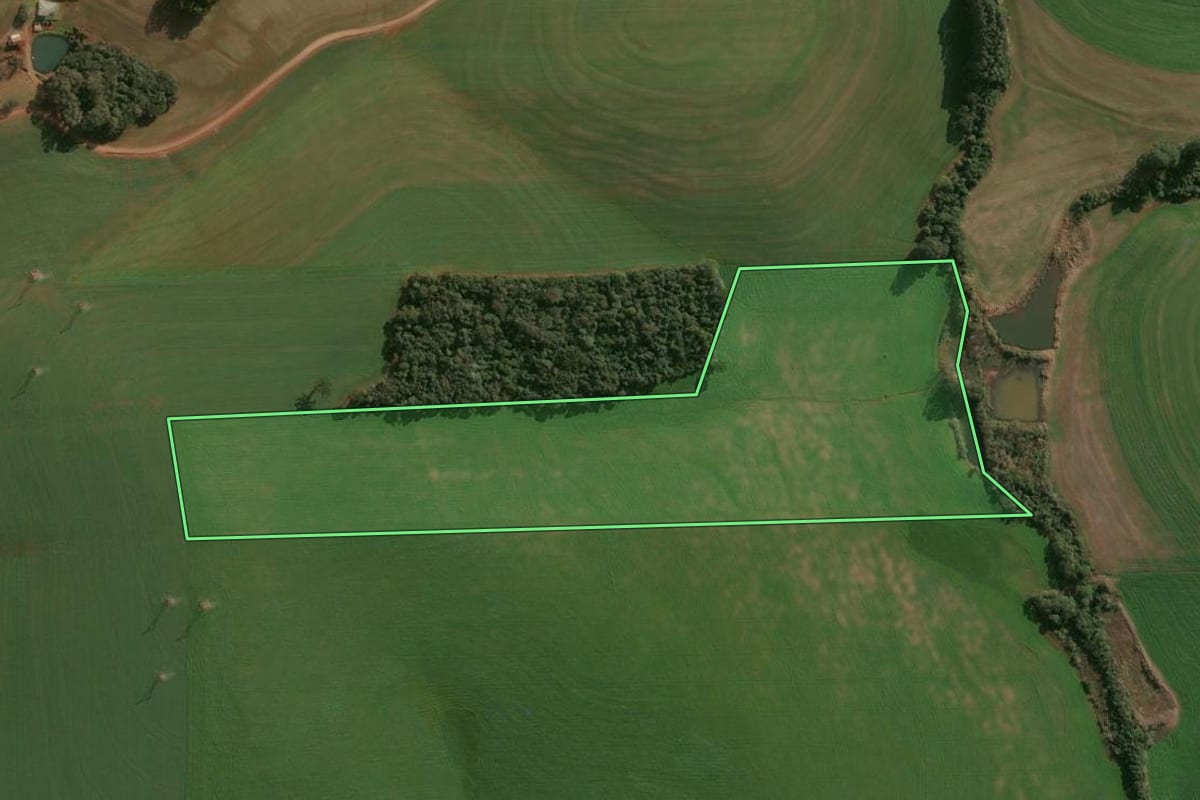 Imagem de satélite do imóvel rural em Campinas do Sul (RS), com o contorno declarado no CAR desenhado por cima.