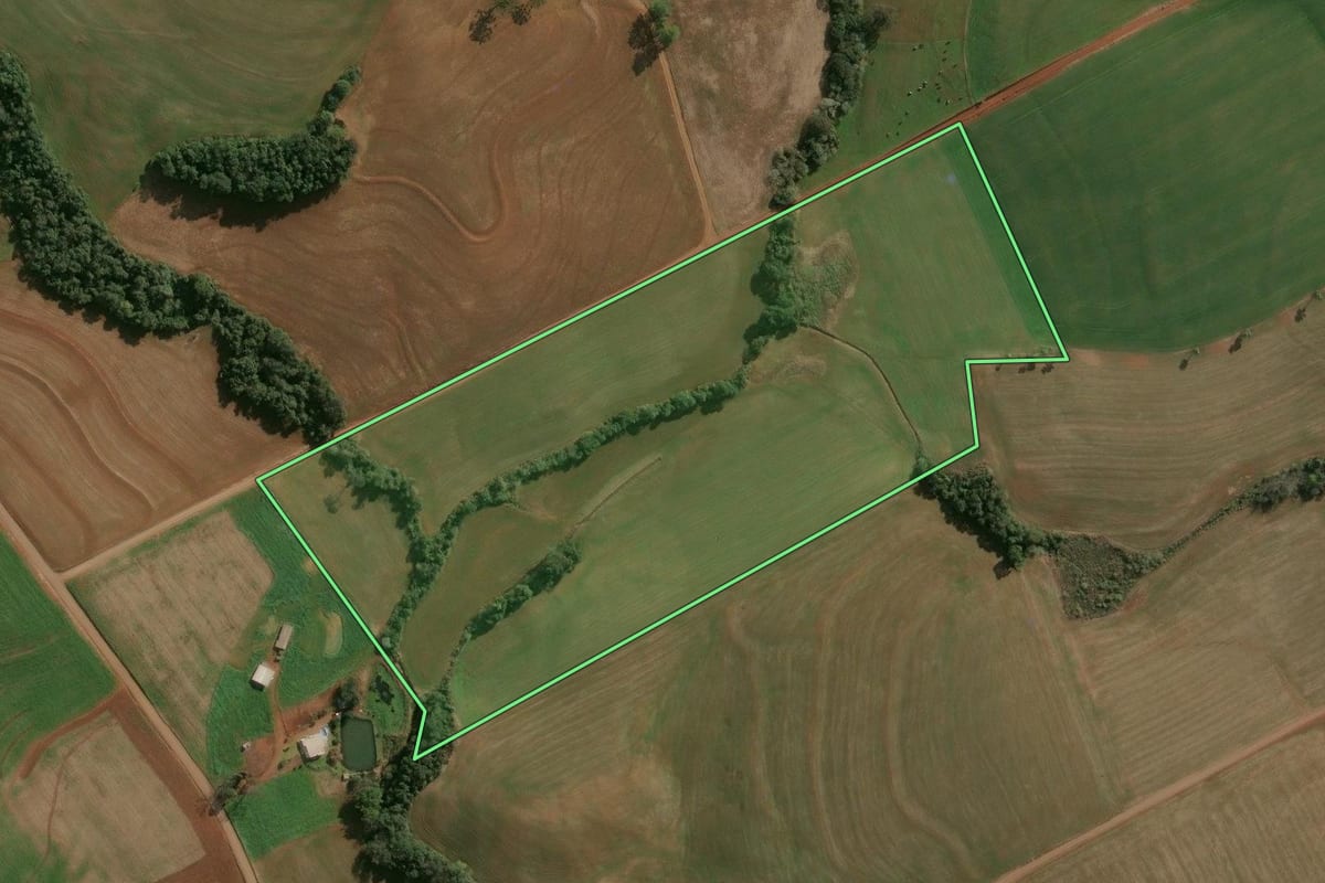 Imagem de satélite do imóvel rural em Campinas do Sul (RS), com o contorno declarado no CAR desenhado por cima.