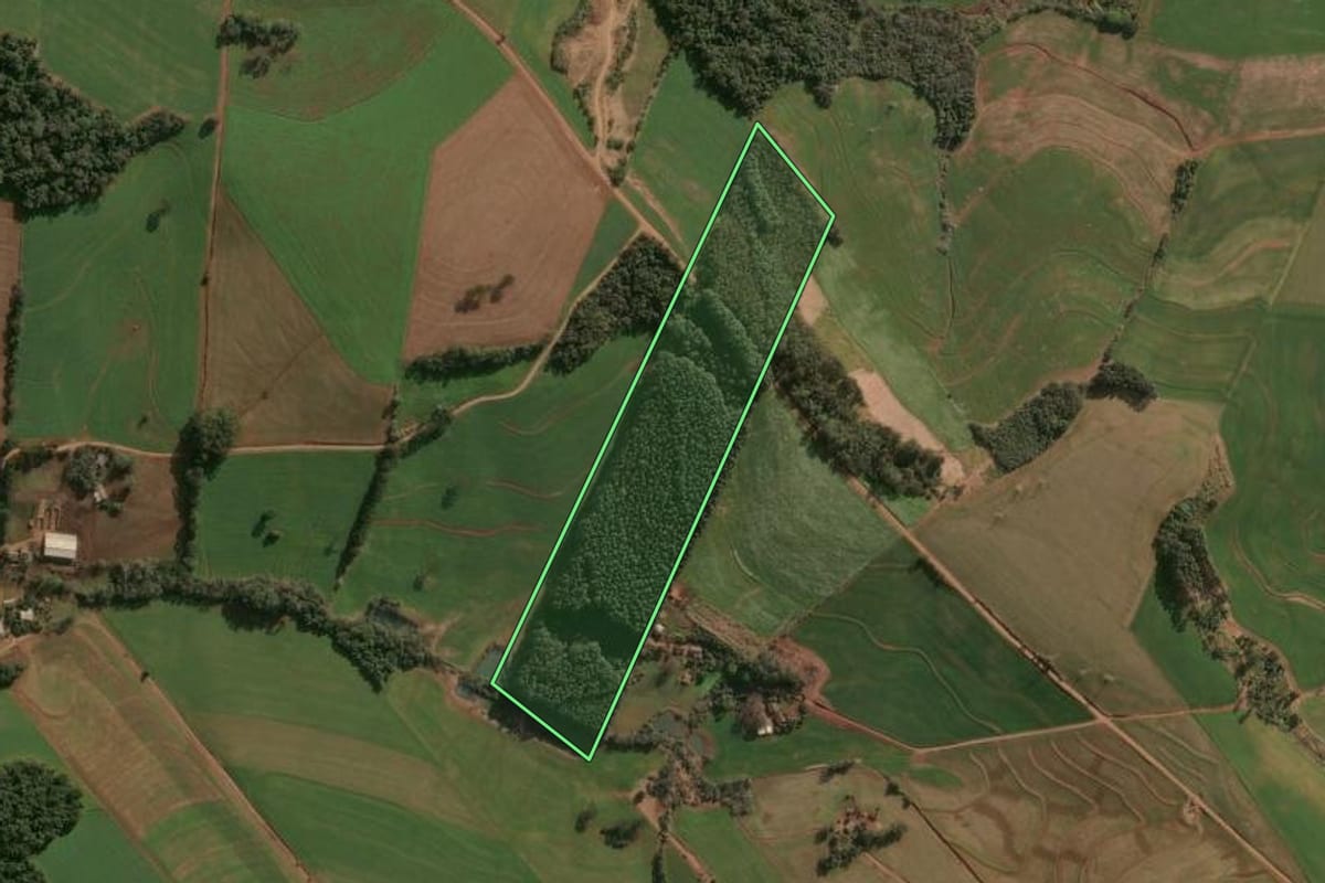 Imagem de satélite do imóvel rural em Campinas do Sul (RS), com o contorno declarado no CAR desenhado por cima.