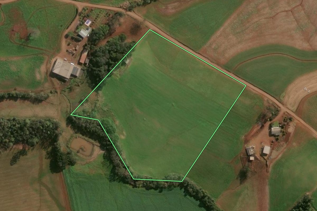 Imagem de satélite do imóvel rural em Campinas do Sul (RS), com o contorno declarado no CAR desenhado por cima.