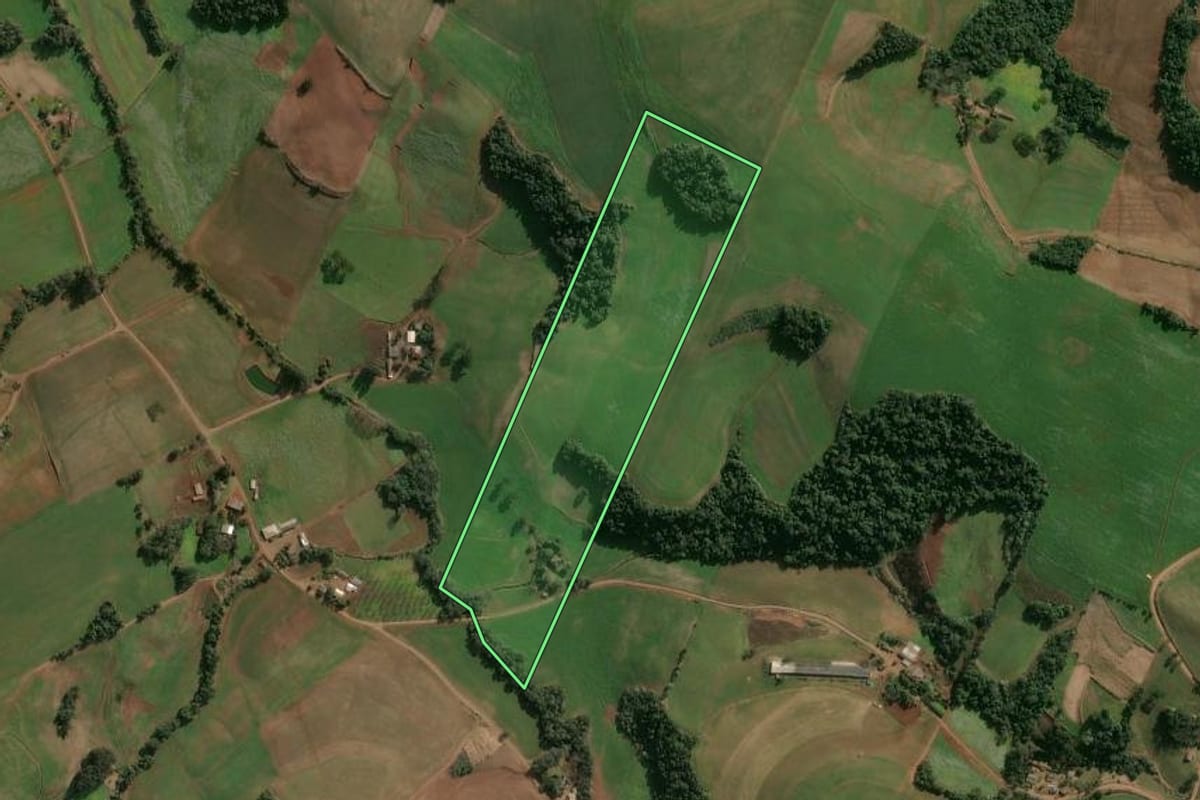 Imagem de satélite do imóvel rural em Campinas do Sul (RS), com o contorno declarado no CAR desenhado por cima.