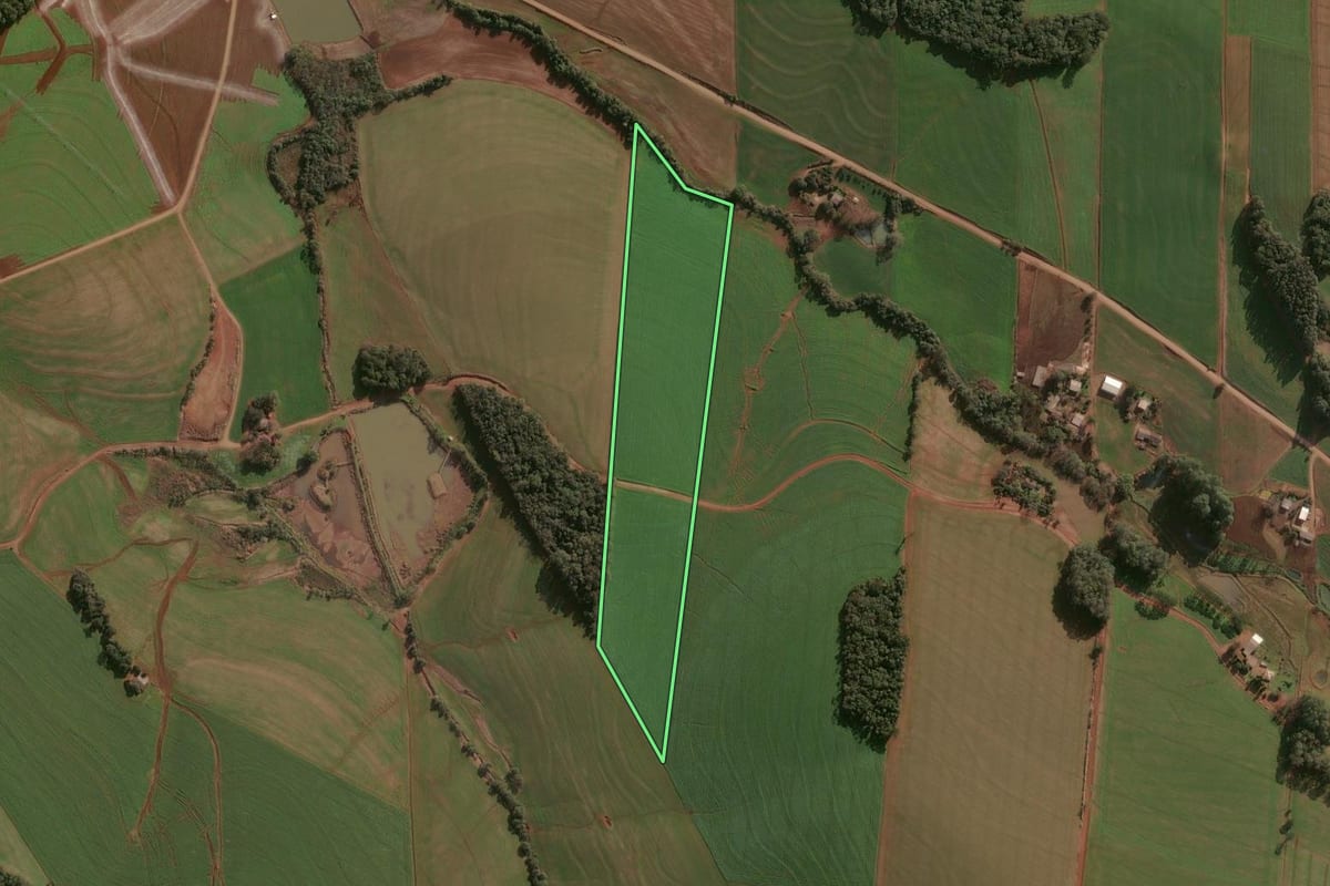 Imagem de satélite do imóvel rural em Campinas do Sul (RS), com o contorno declarado no CAR desenhado por cima.