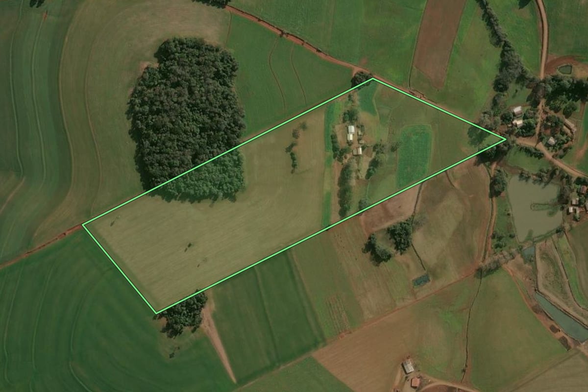 Imagem de satélite do imóvel rural em Campinas do Sul (RS), com o contorno declarado no CAR desenhado por cima.