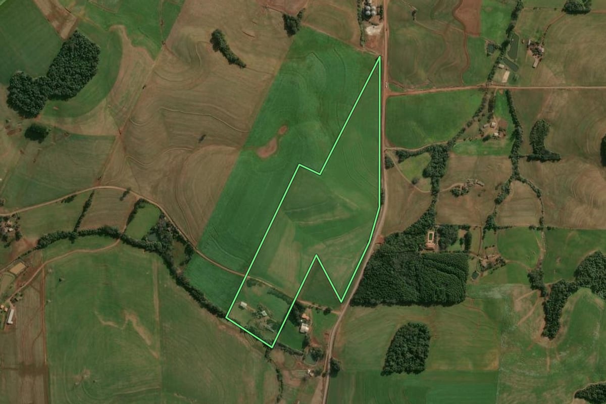 Imagem de satélite do imóvel rural em Campinas do Sul (RS), com o contorno declarado no CAR desenhado por cima.