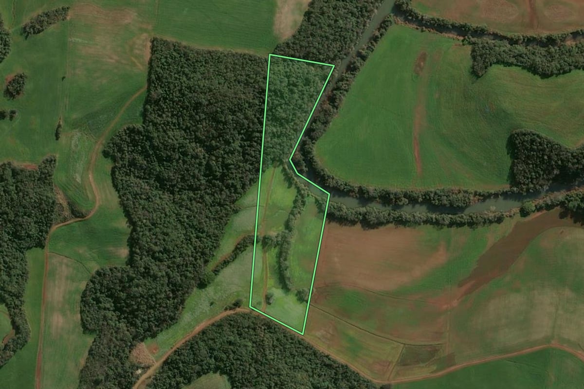 Imagem de satélite do imóvel rural em Campinas do Sul (RS), com o contorno declarado no CAR desenhado por cima.