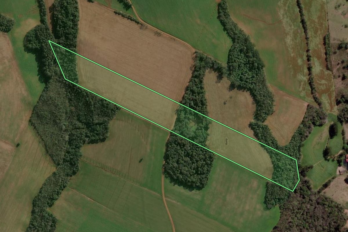 Imagem de satélite do imóvel rural em Campinas do Sul (RS), com o contorno declarado no CAR desenhado por cima.